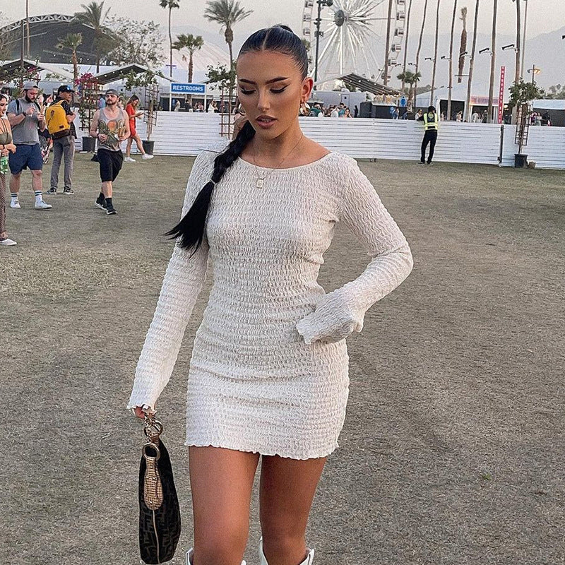 Long Sleeve Stretchy Mini Dress