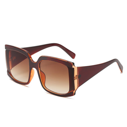 Large Frame Sunglasses